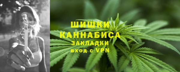 гидра Арсеньев